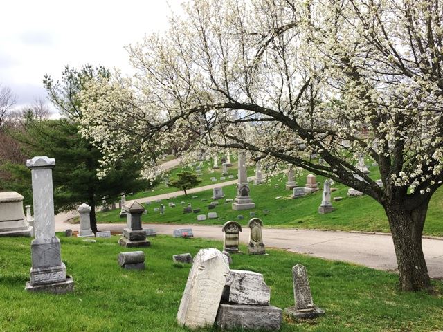 Hillgrove Cemetery