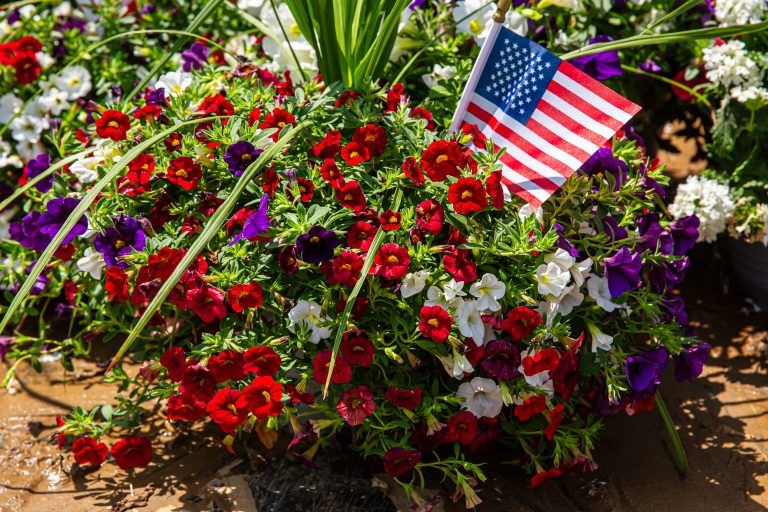 Hillgrove Memorial Day flowers 2025
