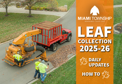 Leaf Collection 2025-26