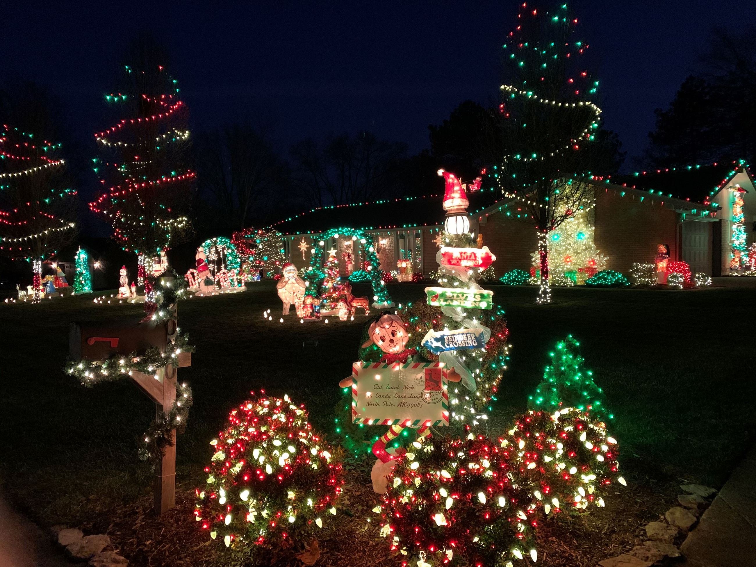 Alpwoods Lights Contest 2020 (7)