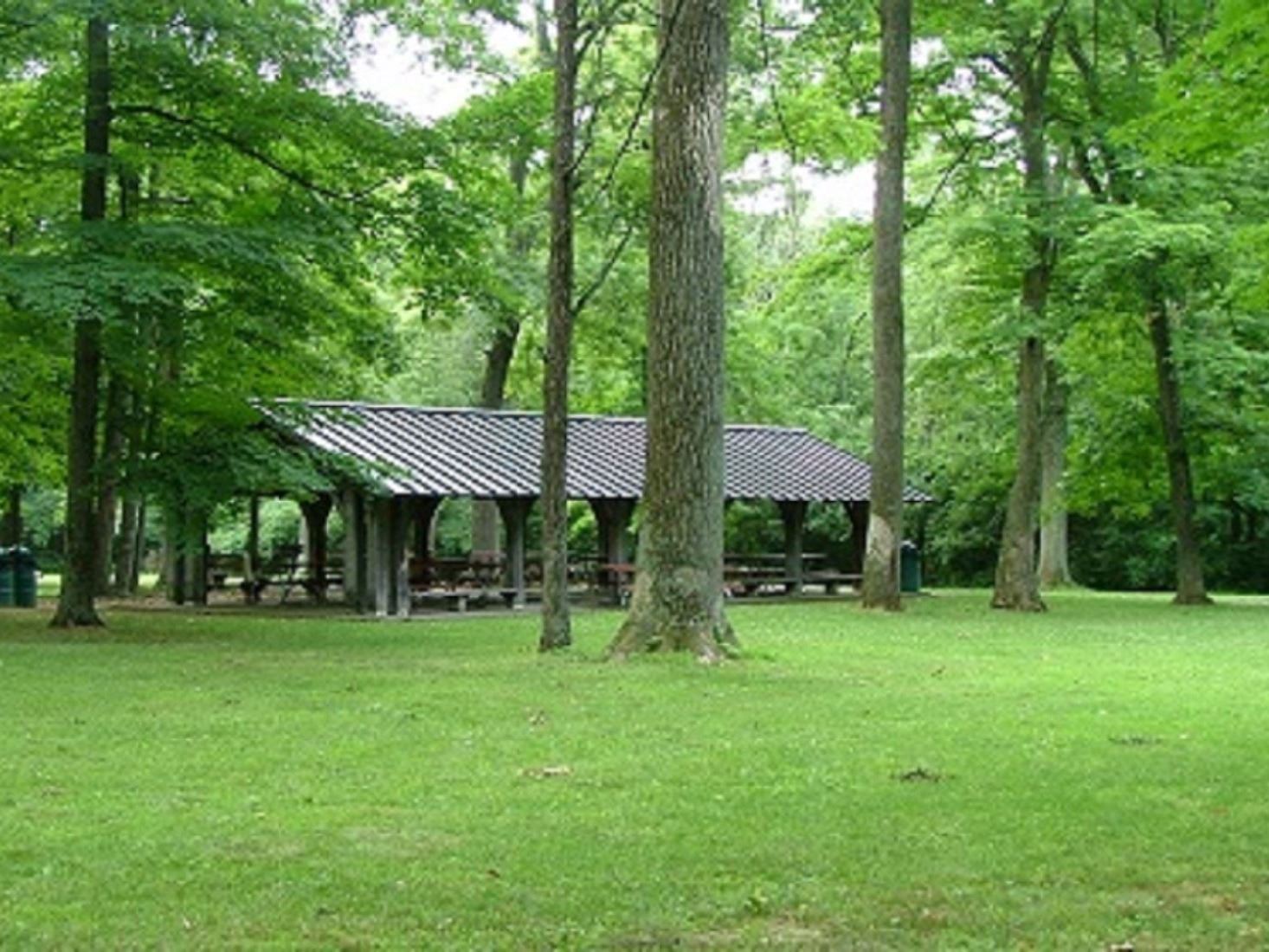 Waldruhe Park Scenic