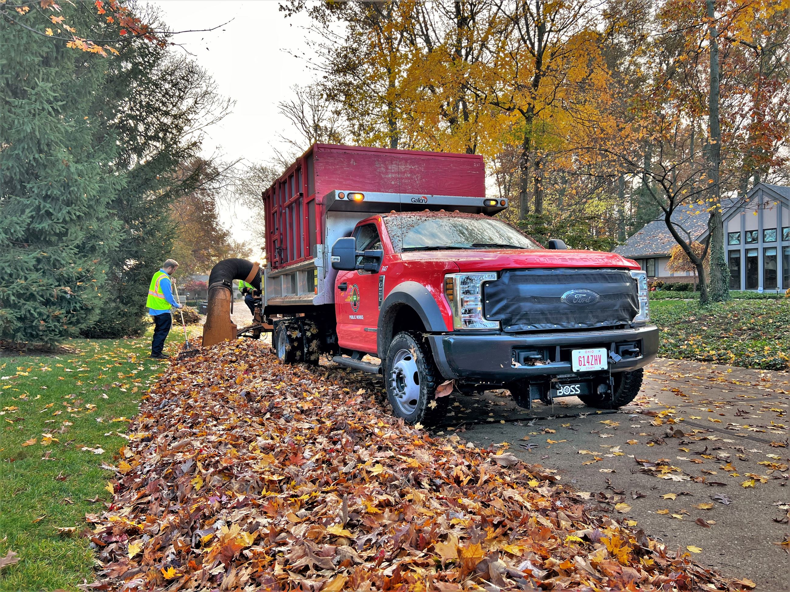 2022 - October Leaf Collection